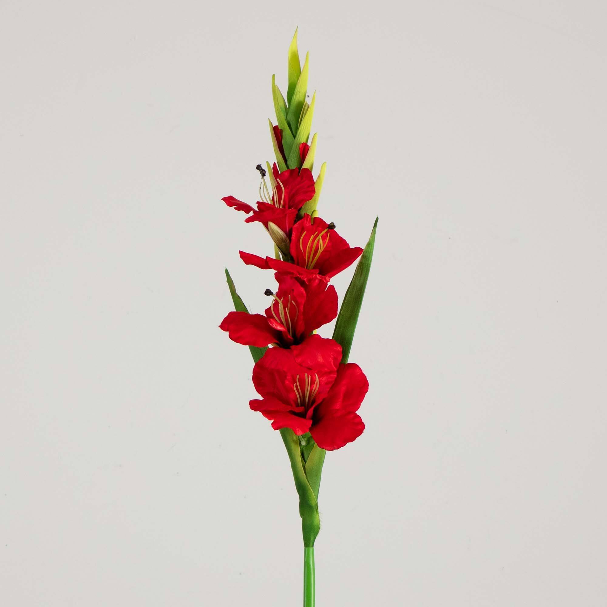45" Red Gladiolus Flower Stems, 3ct.